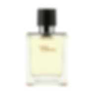 Hermes Terre D'Hermes EDT M 100 ml