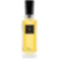 CARON NARCISSE NOIR EDP 100ML