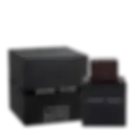 Lalique Encre Noire Eau De Toilette Spray Black for Men 100 ml