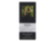 MAISON MARGIELA REPLICA SOUL OF THE FOREST EDP 100ML