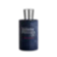 JULIETTE HAS A GUN GENTLEWOMAN (W) EDP 50 ml FR