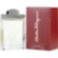 Salvatore Ferragamo Pour Homme Edt 100Ml