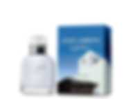 DOLCE & GABBANA LIGHT BLUE LIVING IN STROMBOLI LIMITED EDITION POUR HOMME (M) EDT 75 ml UK