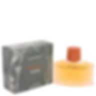 LAURA BIAGIOTTI ROMA UOMO (M) EDT 125ML