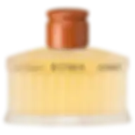 LAURA BIAGIOTTI ROMA UOMO (M) EDT 200ML