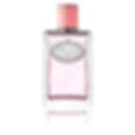 PRADA MILANO LES INFUSIONS DE ROSE EDP 100ML