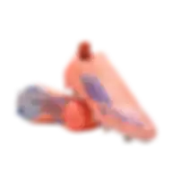 Adidas F50 Elite Laceless Firm Ground Boots Jh7626 Size 40 2/3