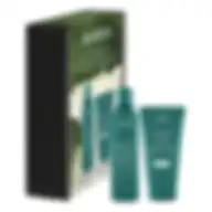 Aveda Hair Repair Essentials Botanical Repair Set