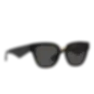 Dolce & Gabbana Butterfly Women's Dg4437 Sunglasses