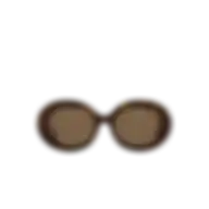 Dolce & Gabbana Oval Women's 4448 Sunglasses