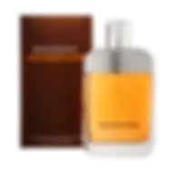 Davidoff Adventure (m) Edt 100ml