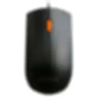 Lenovo 300 Usb Mouse Wired Black
