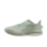 Nike Pegasus Premium Men's Road Running Shoes Hq2592-300 Size 40