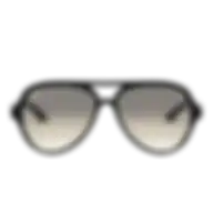 Ray-Ban Men's 0rb4125 Sunglasses