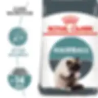 Royal Canin Feline Care Nutrition Hairball Care 4 Kg