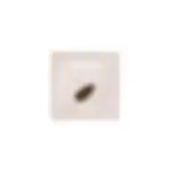 Sheglam Skinfinite Hydrating Foundation Sample-deep