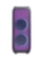 Telionix 10 inch Rechargeable Party Speaker, Power Color Lights, 3in2_TMS4709