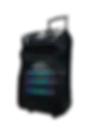 Telionix 12 inch Rechargeable Party Speaker, Power Color Lights, with Bluetooth_TMS4799