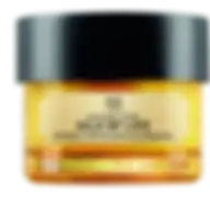The Body Shop Oils Of Life Intensely Revitalising Eye Cream Gel For Unisex 0.69 Oz Gel