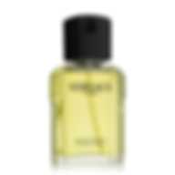 VERSACE L'HOMME (M) TESTER EDT 100 ml IT