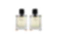 HERMES TERRE D'HERMES (M) EDT 2 X 50ML