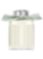 CHLOE (W) EDP NATURELLE 100 ml FR