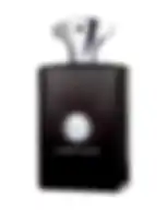 AMOUAGE MEMOIR FOR MAN (M) EDP 100 ml OM