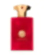 AMOUAGE JOURNEY FOR MAN (M) EDP 50 ml OM