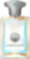 AMOUAGE PORTRAYAL FOR MAN (M) EDP 50 ml OM